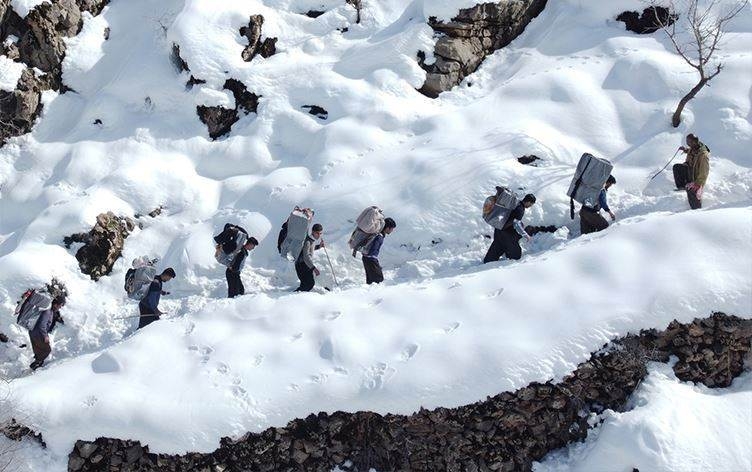 Behzad Rehîmî lêborîn ji kolberan xwest
