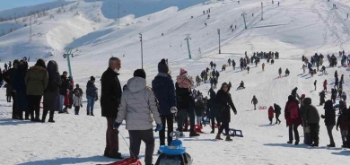 Li Bedlîsê festîvala kaşûnê hat lidarxistin