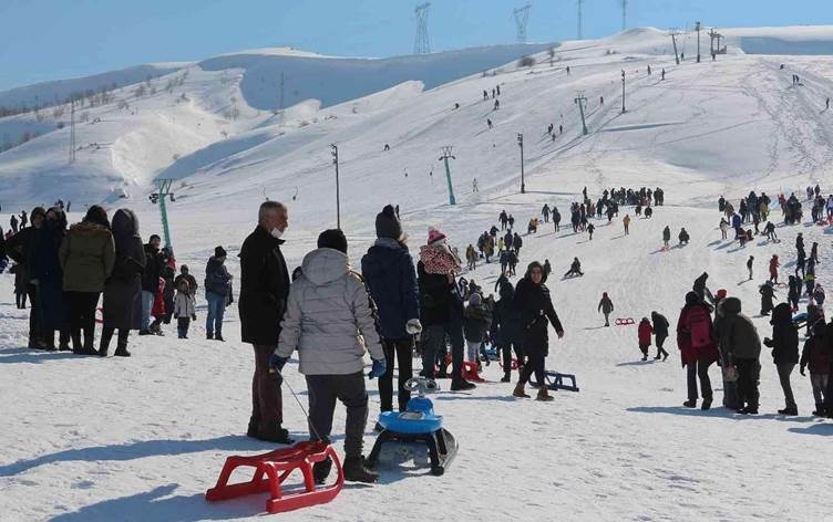 Li Bedlîsê festîvala kaşûnê hat lidarxistin
