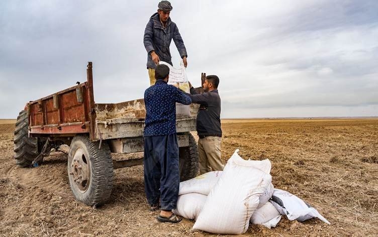 بغداد ترسل المستحقات المالية للقمح الى فلاحي إقليم كوردستان