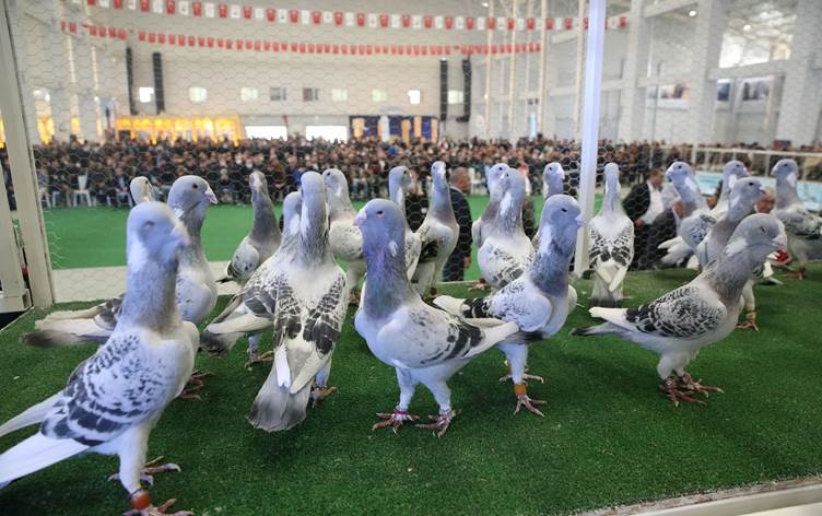 Li Rihayê yekem Festîvala Kevokan