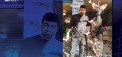 اصطياد سمكة تزن 50 كغم في بحيرة دربنديخان بـ