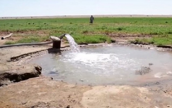 خبير اقتصادي: لدينا مياه جوفية تكفي لـ (٥٠٠) سنة.. يجب استثمارها بالزراعة