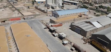 التجارة العراقية تخصص 100 مليون دولار لشراء الحنطة بشكل 