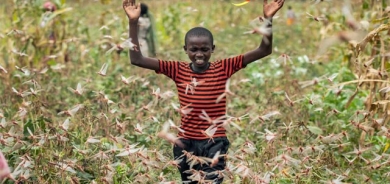 كولەكان جیهان داگیر دەكەن