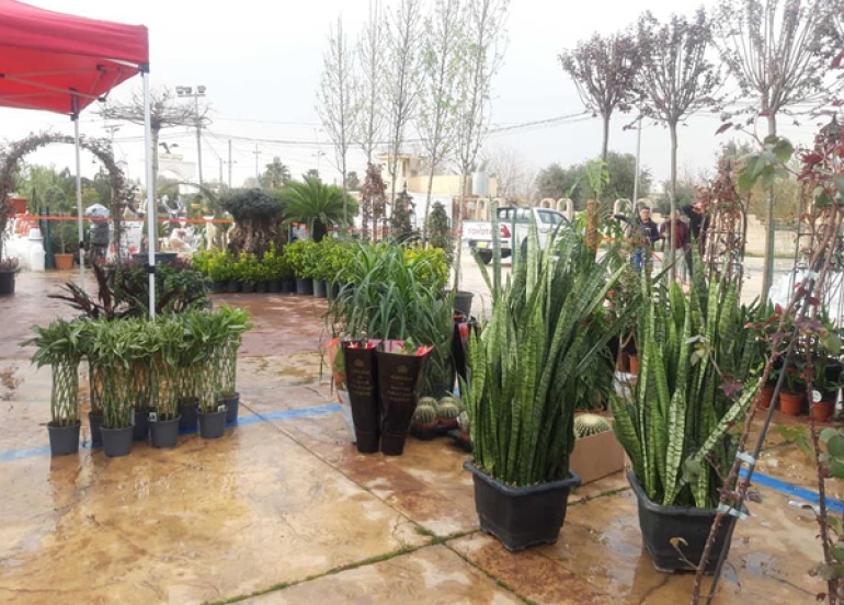 لە هەولێر دووەمین پێشانگای ئەندازەی پاركەكان بەڕێوەدەچێت