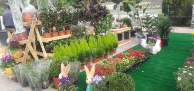 لە هەولێر دووەمین پێشانگای ئەندازەی پاركەكان بەڕێوەدەچێت