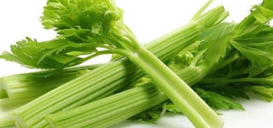 فوائد مذهلة لتناول الكرفس .. يعالج الانتفاخ ويحسن الهضم