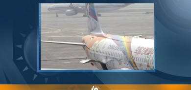 Li Çînê balefirek kete erdê