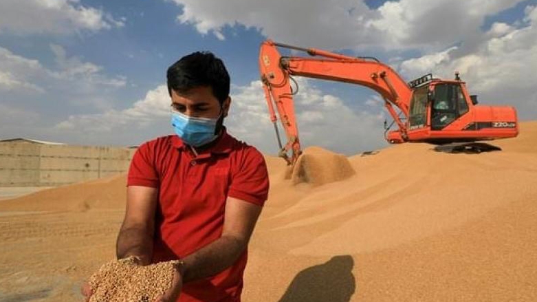 وزير الزراعة: إنتاج القمح العراقي سينخفض في 2022