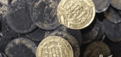 دۆزینەوەی  29 لیرەی سەردەمی ئەشكانی  و سەفەوی لە قوم