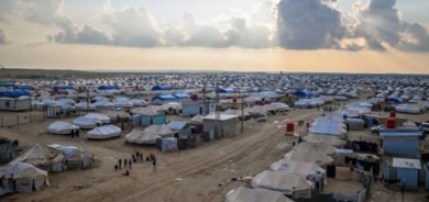 الهجرة الاتحادية : نحو 31 ألف عراقي موجودون في 