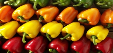 ما هي فوائد الفلفل الحلو للجسم؟