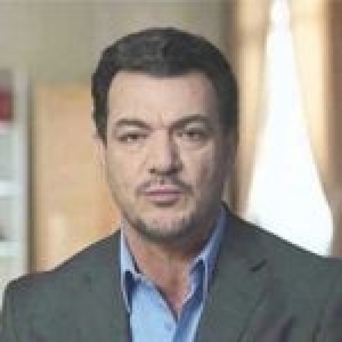 الفساد المشرعن