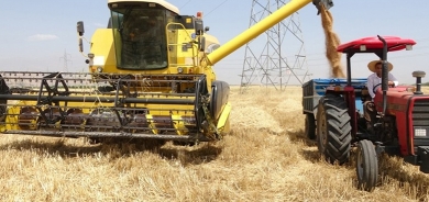 العراق يشتري 100 ألف طن قمح من ألمانيا في مناقصة