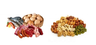پرۆتینی ئاژەڵی، یان پرۆتینی ڕووەكی؟