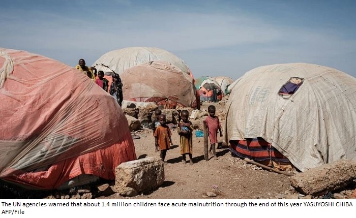Millions of Somalis at risk of famine: UN agencies