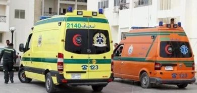 Truck hits tourist bus in Egypt, kills 10 including 4 French