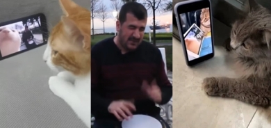 ئەو گۆرانییەی كە لە تۆڕە كۆمەڵایەتییەكاندا بینەرێكی زۆری هەیە