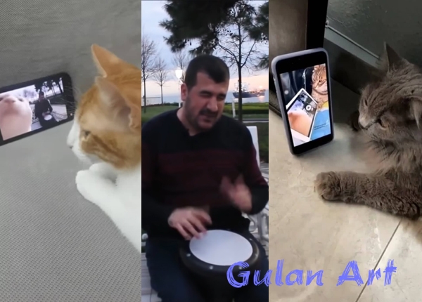 ئەو گۆرانییەی كە لە تۆڕە كۆمەڵایەتییەكاندا بینەرێكی زۆری هەیە