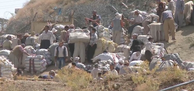 Di mehekê de 3 kolber hatin kuştin û 20 kolber jî birîndar bûn
