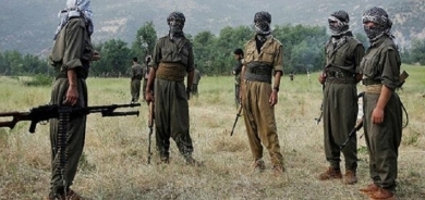 Dadgeha Destûrî ya Almanya: PKK mîna DAIŞ û Qaîdê ye