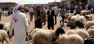 كركوك تتخذ عدة اجراءات ضد الحمى النزفية