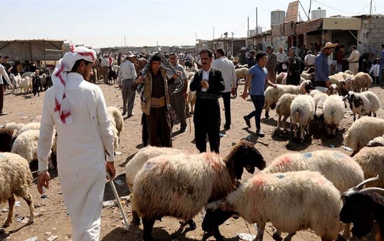 كركوك تتخذ عدة اجراءات ضد الحمى النزفية