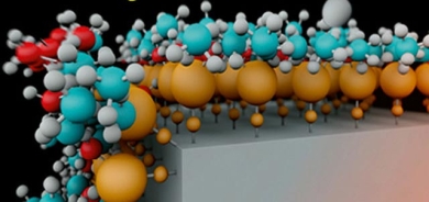 بناغەی سلیكۆن