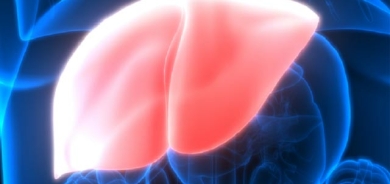 رۆژووگرتن چۆن كاریگەری دەكاتە سەر چەوریی جگەر؟