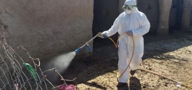 الحمى النزفية.. الأعراض والأسباب وكيفية الوقاية