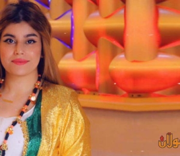 مەسرور بارزانی ودبلۆماسیەتی نیشتمانی