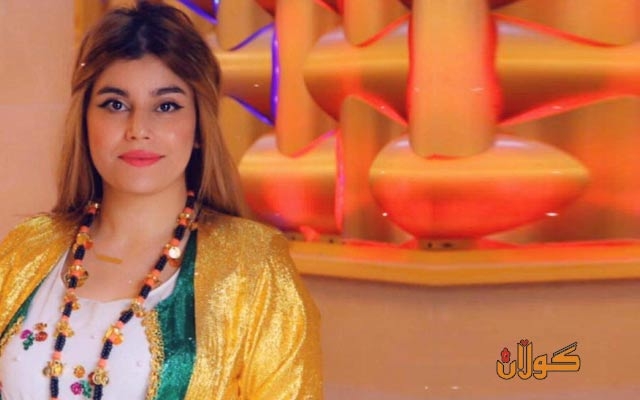 مەسرور بارزانی ودبلۆماسیەتی نیشتمانی