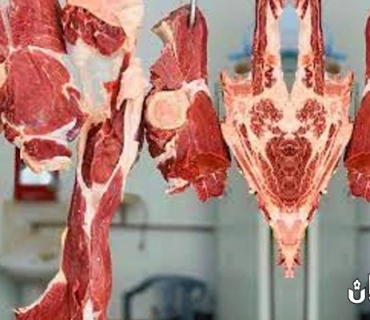 هیچ حاڵەتێکی تووشبوون بە تای خوێنبەربوون لە كوردستان تۆمار نەکراوە