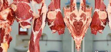 هیچ حاڵەتێکی تووشبوون بە تای خوێنبەربوون لە كوردستان تۆمار نەکراوە