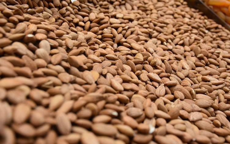 Meletiyê bi qasî 5.2 milyon dolar dendikên qeysiyan hinarde kiriye