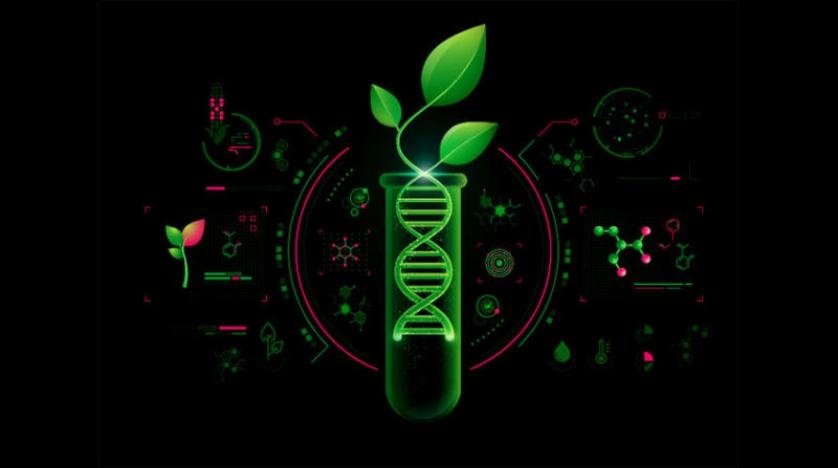 «برمجة الحياة»... هل تهدف إلى بناء عالم أفضل؟