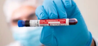 Haemorrhagic Fever Kills 8 In Iraq