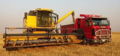 زراعة كوردستان تستعد لحصاد 30 ألف دونم قمح في خانقين