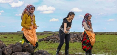 Birinca Qerejdaxê bi destê jinan tê çandin