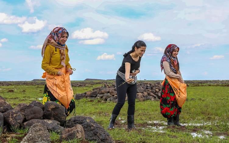 Birinca Qerejdaxê bi destê jinan tê çandin