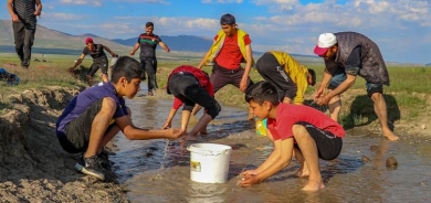 3 ton masiyên Gola Wanê ji mirinê hatin rizgarkirin