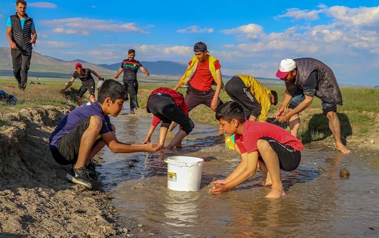 3 ton masiyên Gola Wanê ji mirinê hatin rizgarkirin