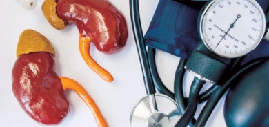 حقائق لعلاقة الكليتين بارتفاع ضغط الدم