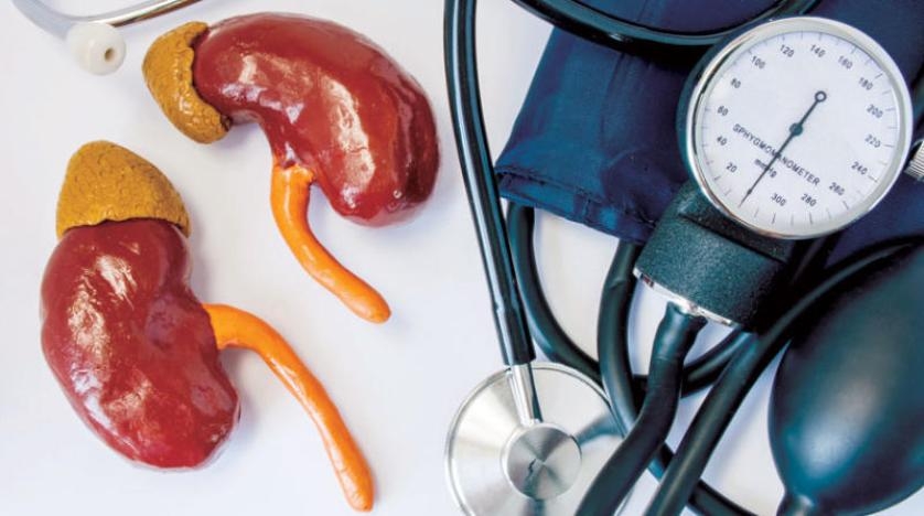 حقائق لعلاقة الكليتين بارتفاع ضغط الدم