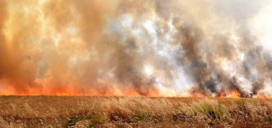 خبير أمني: داعش يحرق المحاصيل الزراعية لفرض الإتاوات