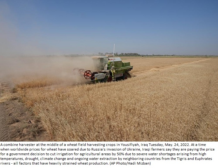 Severe water shortages strain wheat harvest in Iraq