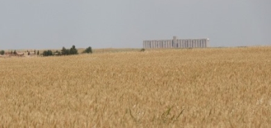 قمح العراق يحتضر: تراجع الدعم وشح المياه وتقادم أنظمة الري استنزفت الزراعة