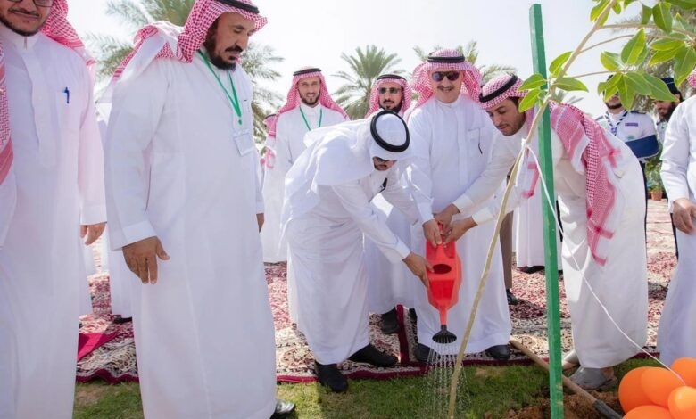 Siûdiye 100 miliyon daran diçîne