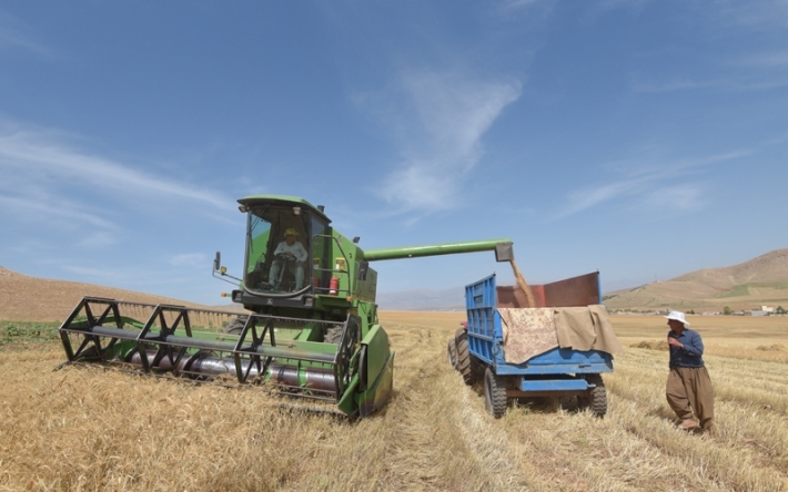 تجارة كوردستان : استلام محصول القمح يسير بشكل جيد ولامشكلة في دفع مستحقات المزارعين